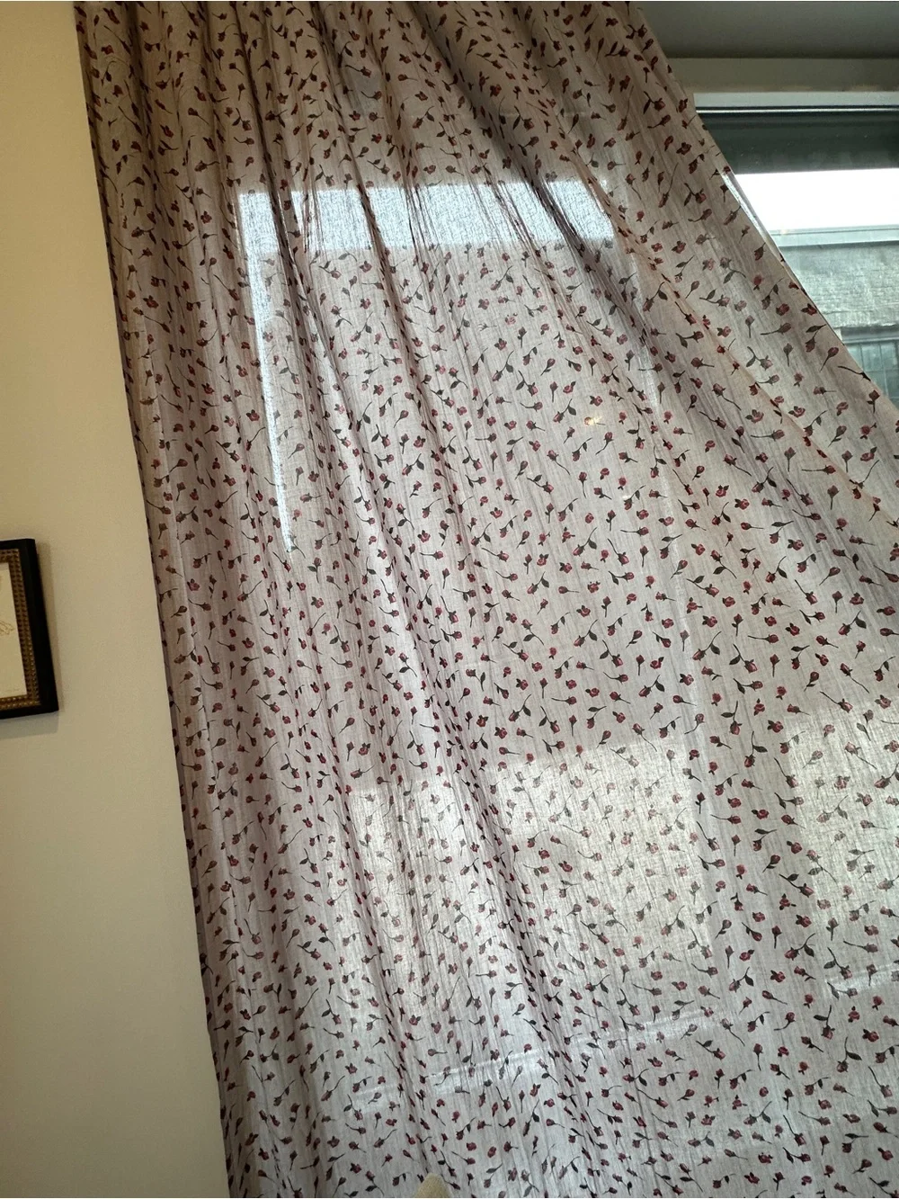 Urban Outfitters Rosebud Curtain Panels (2)